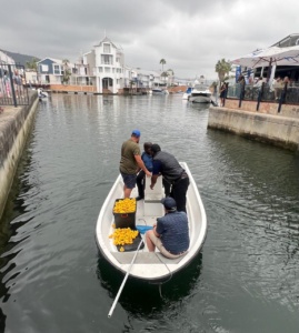 Duck Launch